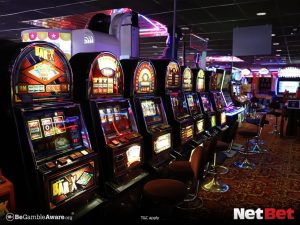 coffeecatpg - Login Cassino Seguro